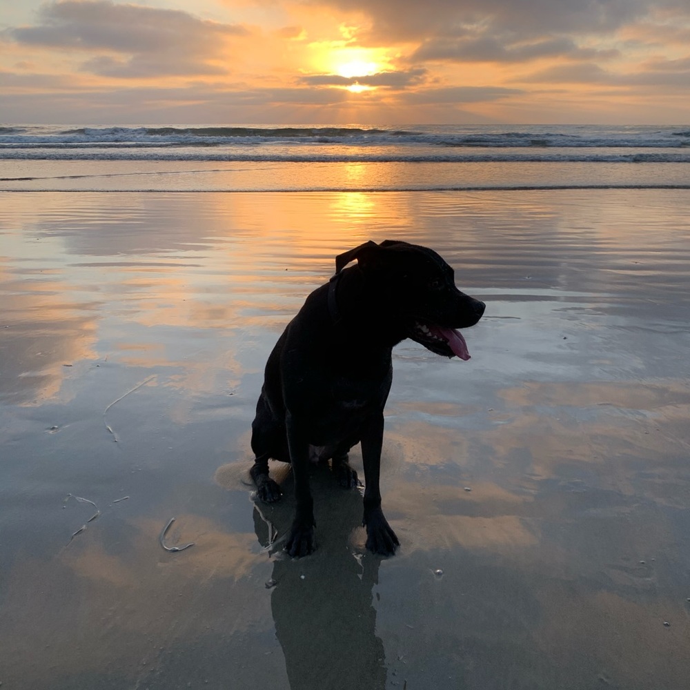 Meet your Posher, Daniel